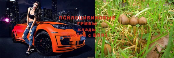 a pvp Переславль-Залесский